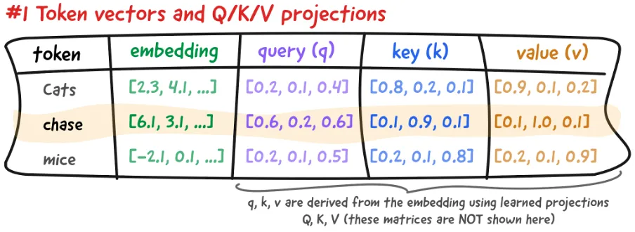 Tokens and Embeddings